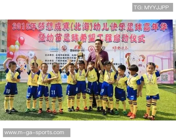 琴倾天下足球：在绿茵场上谱写激情与梦想的华彩乐章