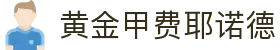 GA 黄金甲体育官方网站 - 费耶诺德俱乐部赞助商